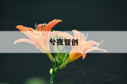 鱿鱼游戏联名周边有啥？鱿鱼价格究竟多少