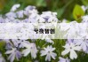揭秘瓦楞纸箱价格之谜：如何精准计算成本？