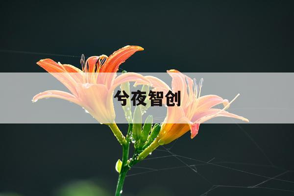 揭秘橱柜价格之谜：如何精准计算您的家居预算？